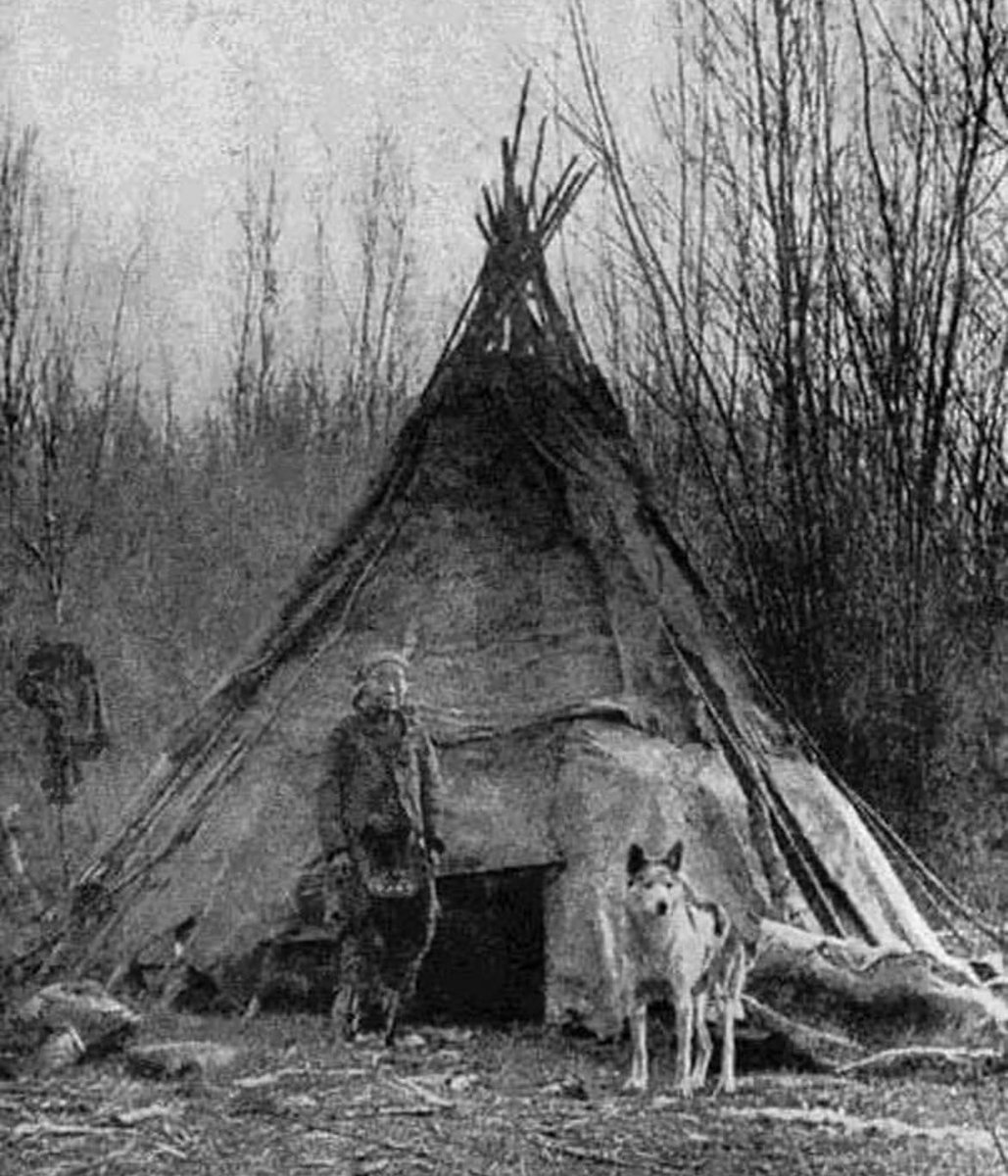 One of the earliest photos showing a Native American with a wolf - unlike the myths created about wolves by settlers, Indians maintained a close and respectful relationship with wolves.