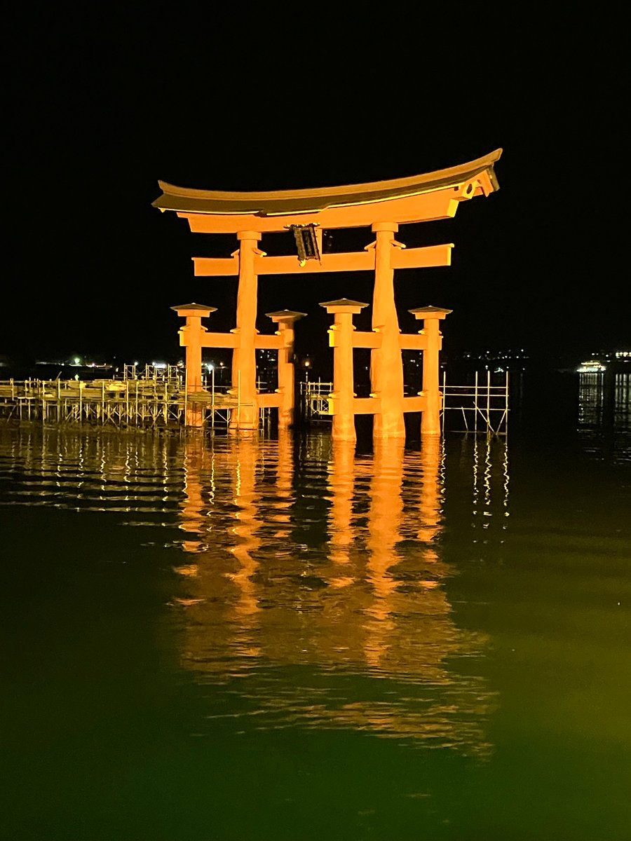 MCサーディ　MC3rdi/シールドルーム shieldroom tweet media