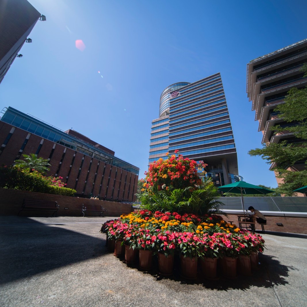 HongKongPolyU's tweet photo. Each and every corner of #PolyU has its own special charm. ๐
#polyucampus #campus #university #hongkong https://t.co/M91R7l8ew4