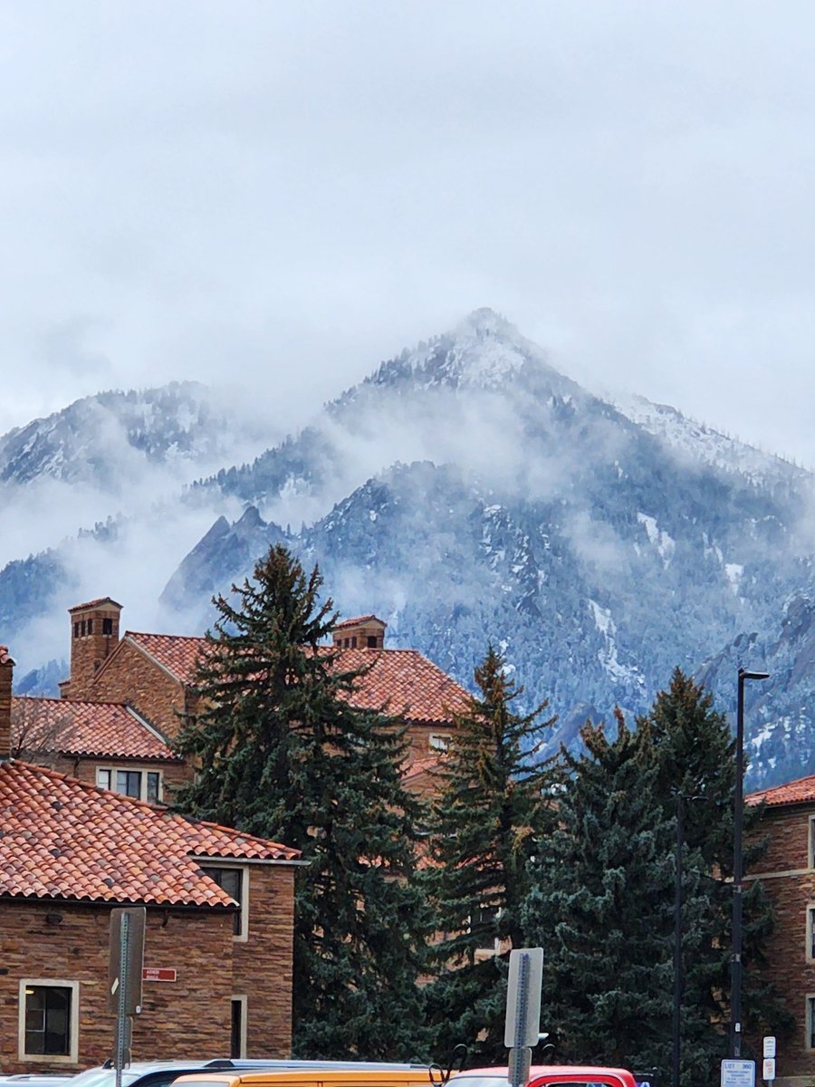 GM ☀️ Winter is here 🥶
#NFTCommunity