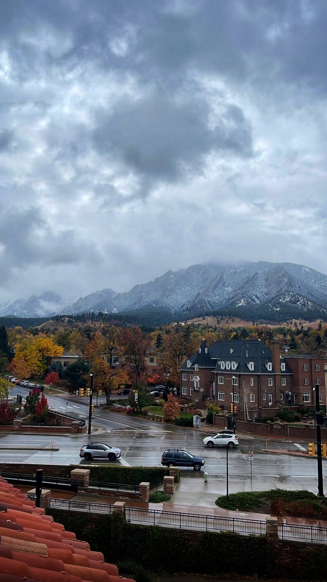 dskarts.eth tweet media