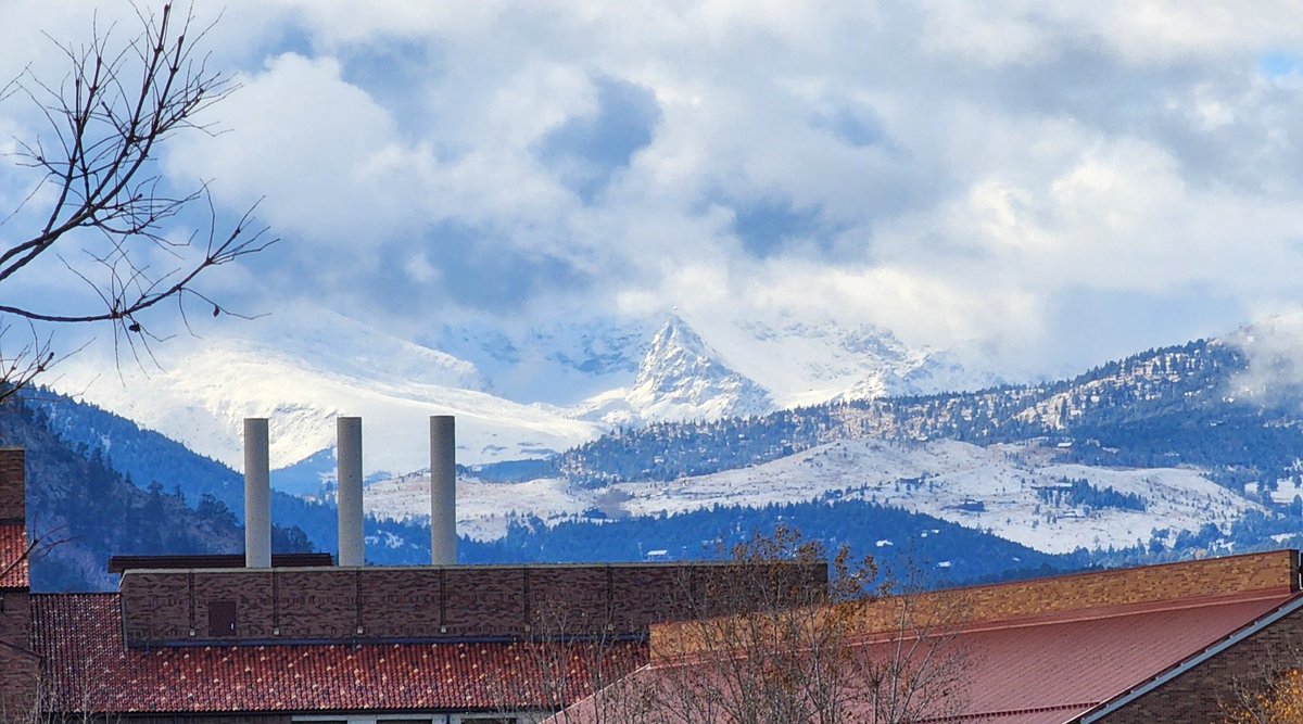 dskarts.eth tweet media