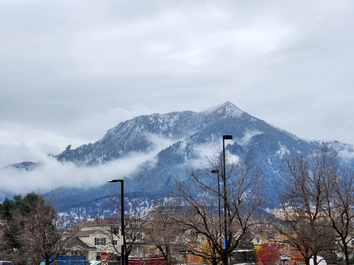 dskarts.eth tweet media