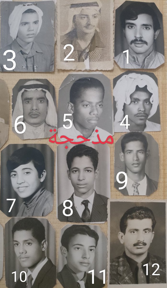 Aisha Alfarsiمذحجة tweet media