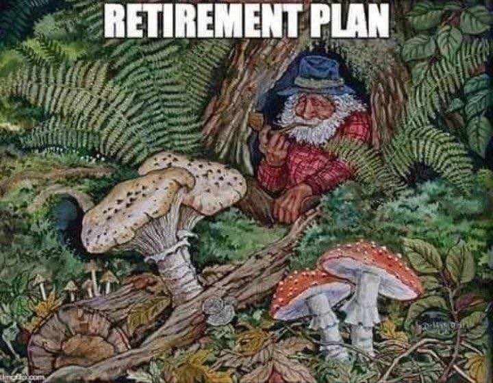 yyts1rhc's tweet photo. retirement plan https://t.co/wVF5lPCBTm