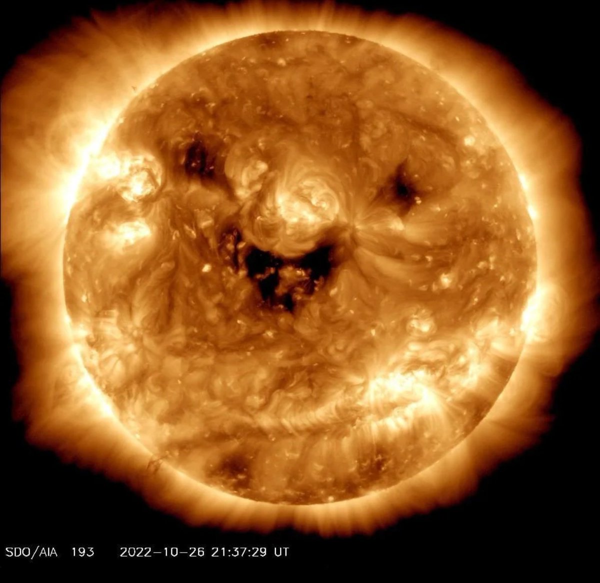 tea_spiracy's tweet photo. The sun is so happy! #Nasa #SolarDynamics #solarenergy #SolarFlare #Happy #interesting https://t.co/FzQ1ItLbRx