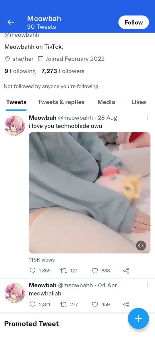 Diamond85553574's tweet photo. KILL MEOWBAHH 🔪 https://t.co/UWVFEY4gMi