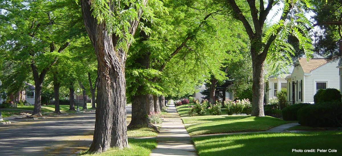 Studio City NC tweet media