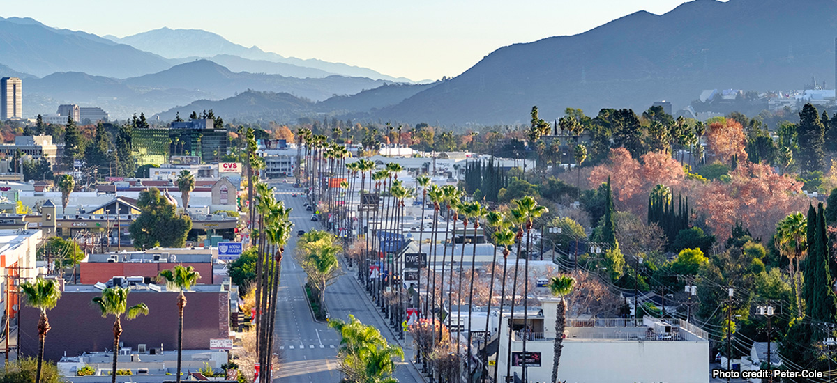 Studio City NC tweet media