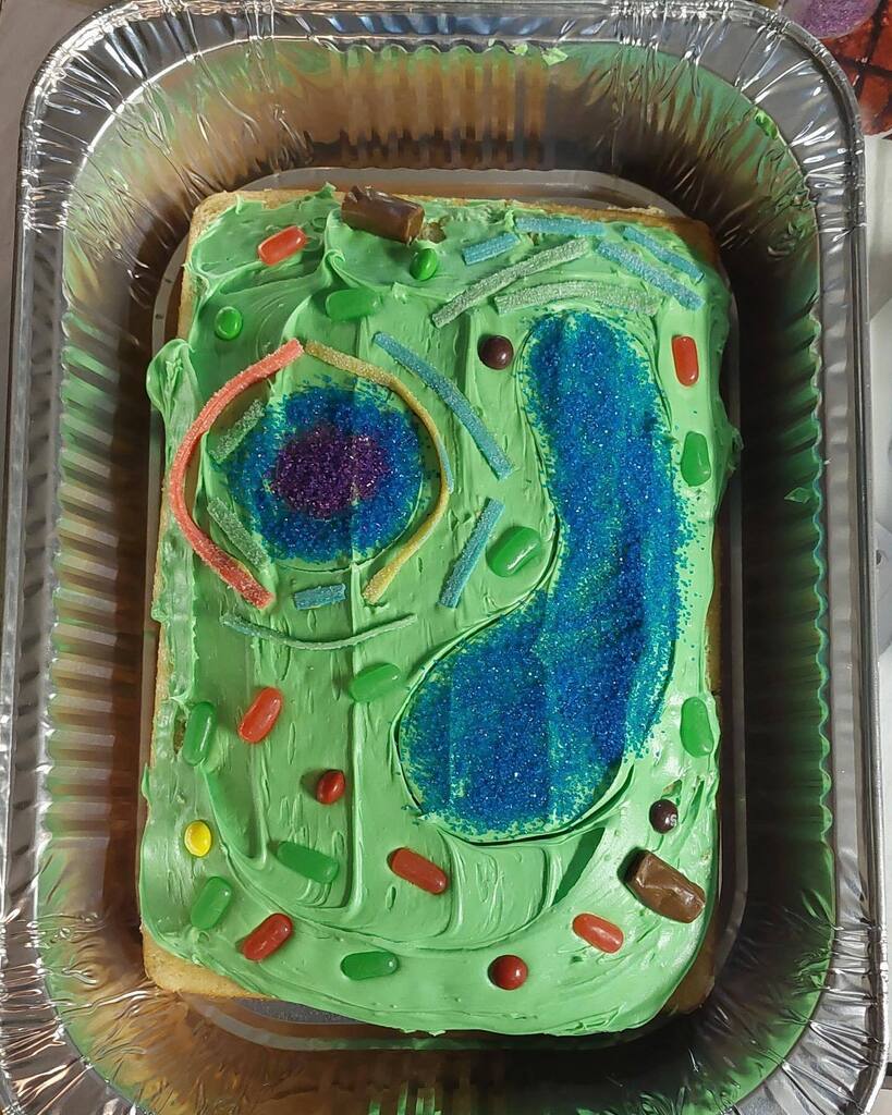 VimyAcademy's tweet photo. #vimyscience 8 today bringing in their edible cells to celebrate their Unit Final tomorrow 😁 Awesome work! #handsonlearning #greatcreativity #vimyproud #epsb #becomingmore #kd https://t.co/AI4E5qOtPJ