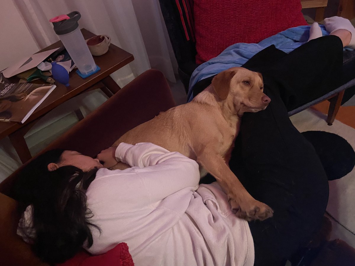 malditomapache's tweet photo. Yo estudié psicología, pero mi mayor transformación ha sido con Lara. Simplemente la amo y no me interesa pensar si ella me ama o no. Me interesa cuidarla y ya. https://t.co/6fHXpG1otg