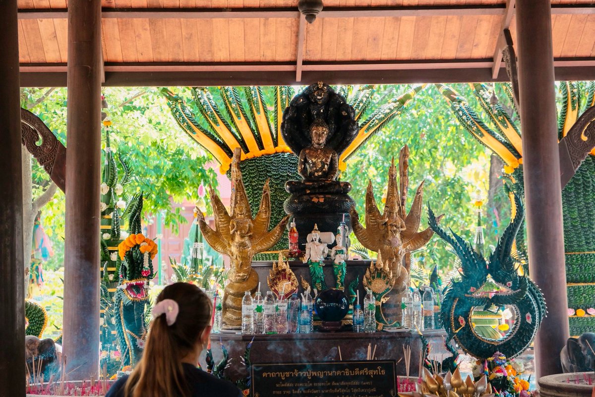 M_BeyondTH's tweet photo. 🐉จุดเด่นของวัด คือ รูปปั้นพญานาคใหญ่ยักษ์ ที่ตั้งอยู่บริเวณ โบสถ์ไม้กลางสระน้ำ ⛲️ พระประธานในโบสถ์คือ หลวงพ่อนาคปรกแก้ว มณีโชติ เดินถัดเข้าไปด้านใน มีรูปสักการะของ #พ่อปู่ศรีสุทโธ และ #แม่ย่าศรีปทุมมา รวมถึงรอบๆยังมีพญานาคอยู่ถึง 4 องค์ ผู้คนจึงนิยมมากราบไหว้ เพื่อเป็นสิริมงคล https://t.co/lh1T4VEpfc