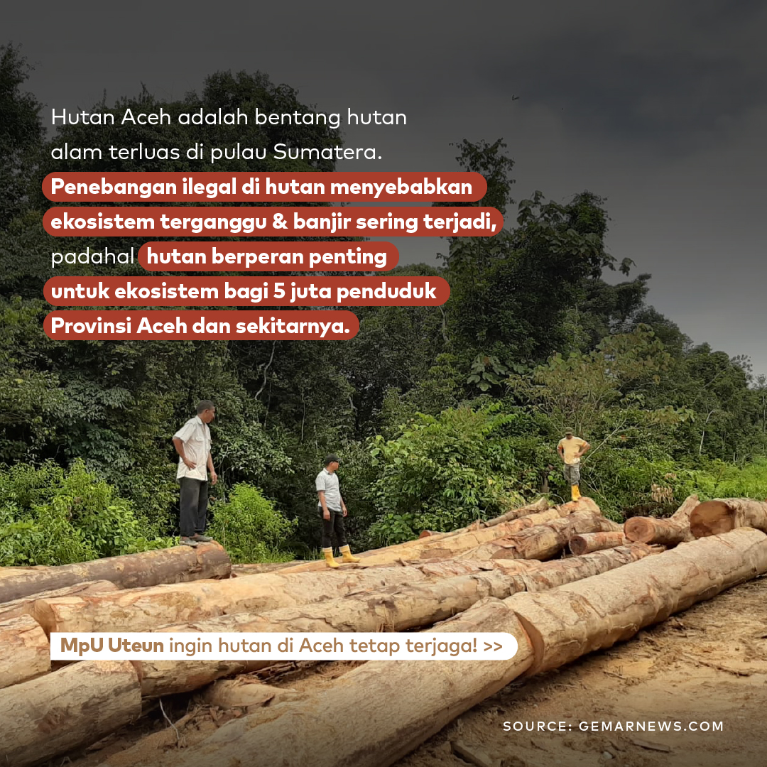 dreamers_lab's tweet photo. Penebangan ilegal pada #hutan lindung sebabkan banyak kerugian pada #alam &amp; masyarakat juga! MpU Uteun ingin hal tersebut dapat ditanggulangi.

Apakah saat ini kamu memiliki komunitas yang serupa dengan MpU Uteun? Sebutkan komunitasmu &amp; ceritakan perannya di kolom komentar yuk! https://t.co/nCaU8JGrPT
