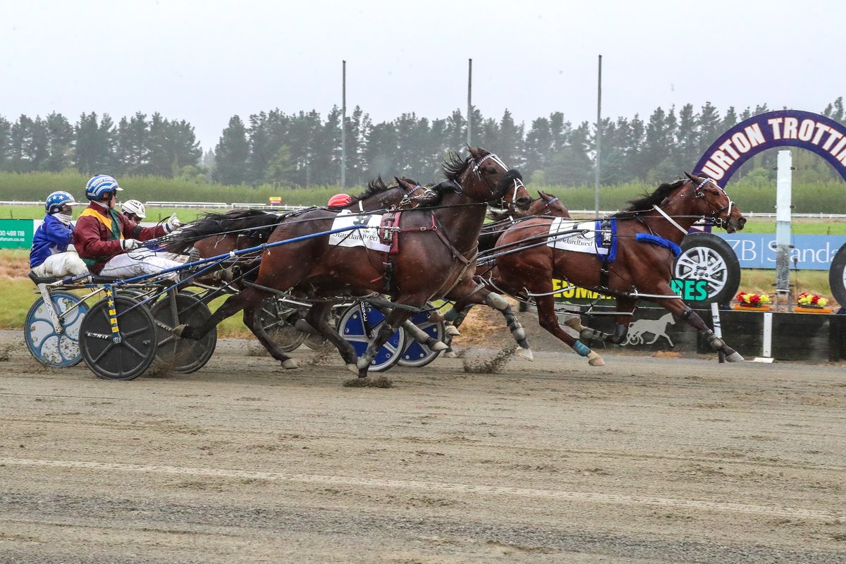 nzbstandardbred's tweet photo. The team behind #BDJoe (NZ) (Roll With Joe) can dare to dream of winning New Zealand’s greatest race after their star pacer’s brilliant win in the $50,000 Group Two NZB Airfreight Ashburton Flying Stakes (2400m).✈️
📰: https://t.co/xNEg0WedHM https://t.co/Ax3eOJARQR
