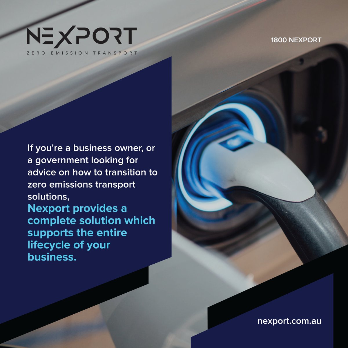 Nexport_Official tweet media