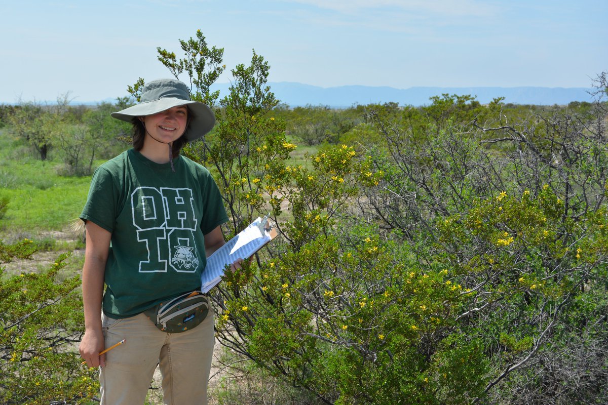 lillyro13's tweet photo. Gypsum is a mineral found in soils that can create harsh conditions for plant growth. I recently had the opportunity to travel to New Mexico to survey and collect samples from gypsum outcrops and the unique plants able to grow on them. Such an amazing experience!
#foreverohio https://t.co/SnktOx71Kh