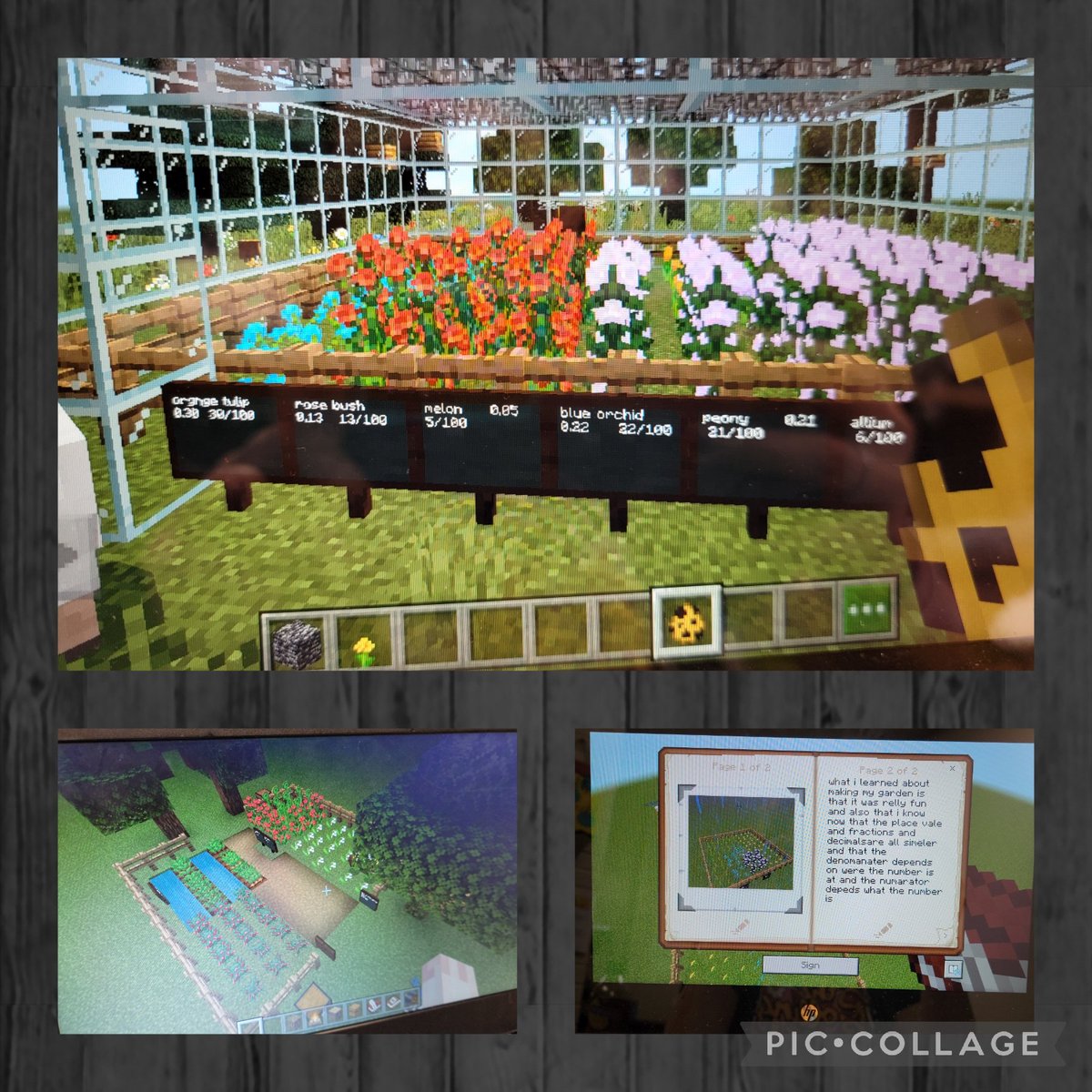 Our first Minecraft EDU math project is in the books! Decimal gardens came to life as students planned, executed their designs, and wrote about what they learned. The creativity was incredible and they were so supportive of each other! #PatriotPride <a href="/PlayCraftLearn/">Minecraft Education</a> <a href="/SanAngeloISD/">San Angelo ISD</a>