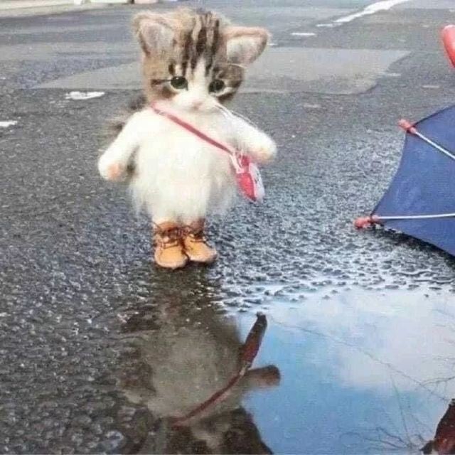 / ampun plis banh lepasin bleh ksih pukpuk aj
