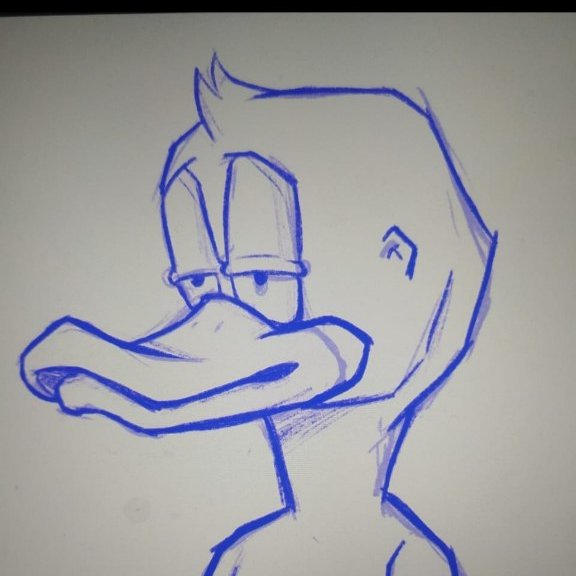 Crypto Felines tweet media