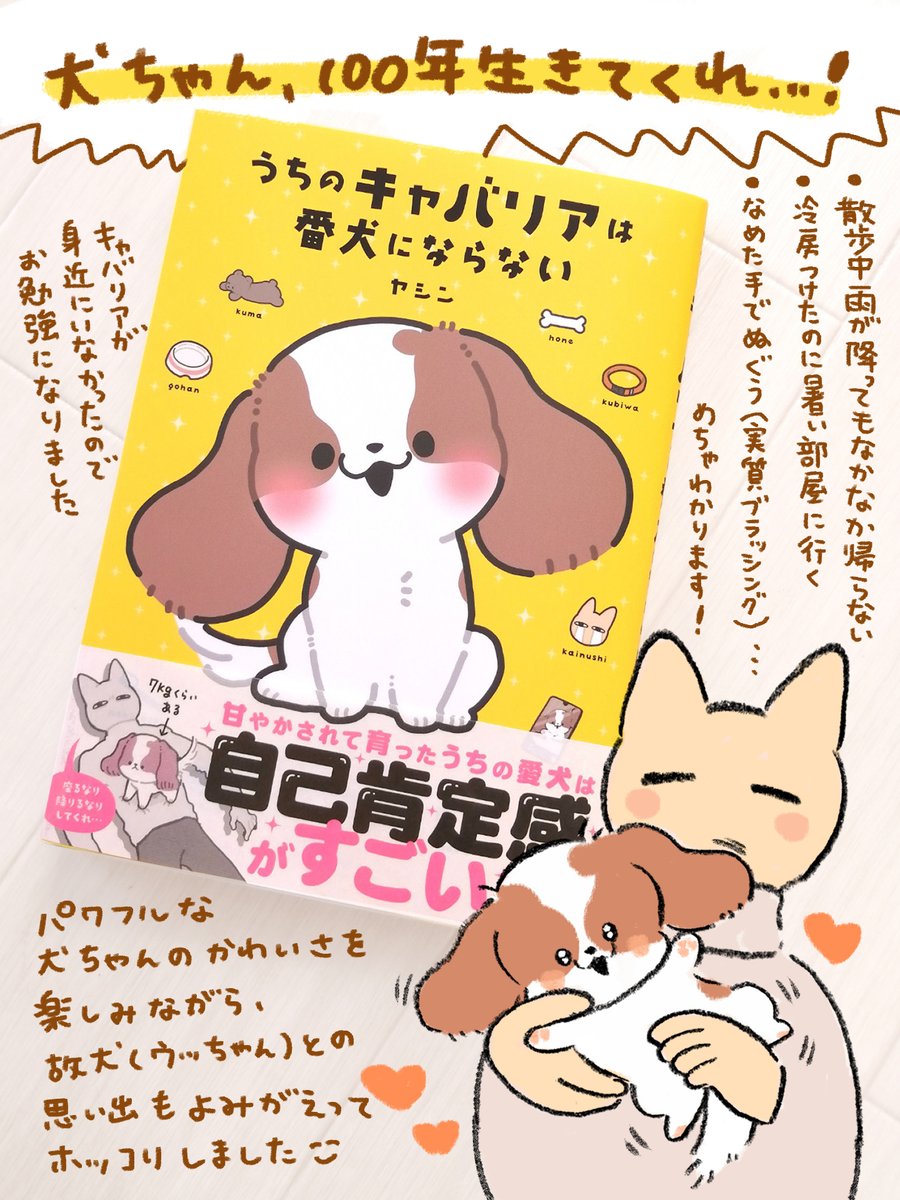 ヤシン(@Y_ashi_n )さんの『うちのキャバリアは番犬にならない』をご恵贈いただきました。ありがとうございます🙇‍♀️
キャバリアの犬ちゃんがひたすらに可愛がられ、ひたすらに可愛い一冊でした🐶✨個人で購入した分もあるので布教用として使おうと思います。
発売おめでとうございました! https://t.co/RmSnzES0un 