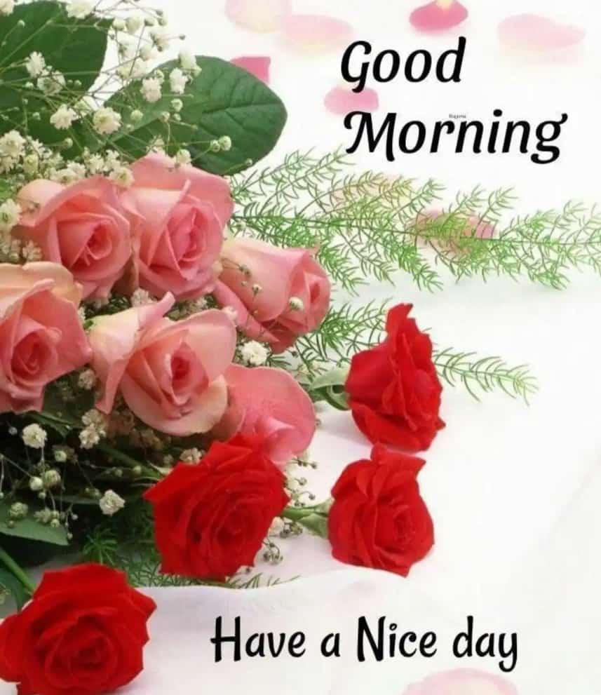 Good morning