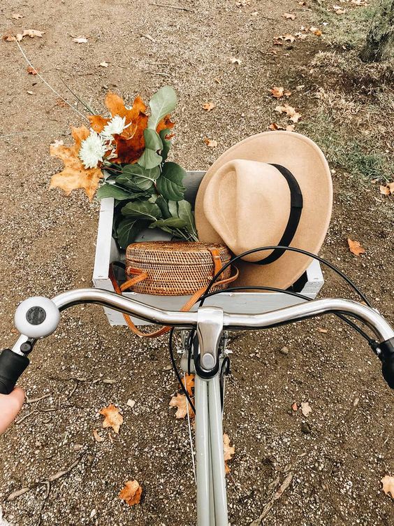 tabithadumas's tweet photo. Read the FALL digital magazine with lots of inspiration, ideas, recipes and gratitude. #gratitude #digitalmagazine #faithfirst https://t.co/zMvDFLdym4 https://t.co/LyyG9KtV3E
