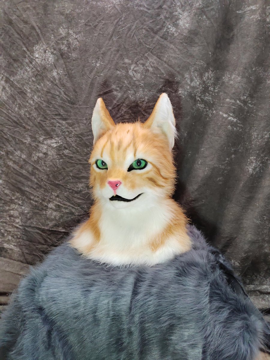 Pinkfox2017's tweet photo. Fursuit friday:orange cat commission https://t.co/PSg9jfvIu4