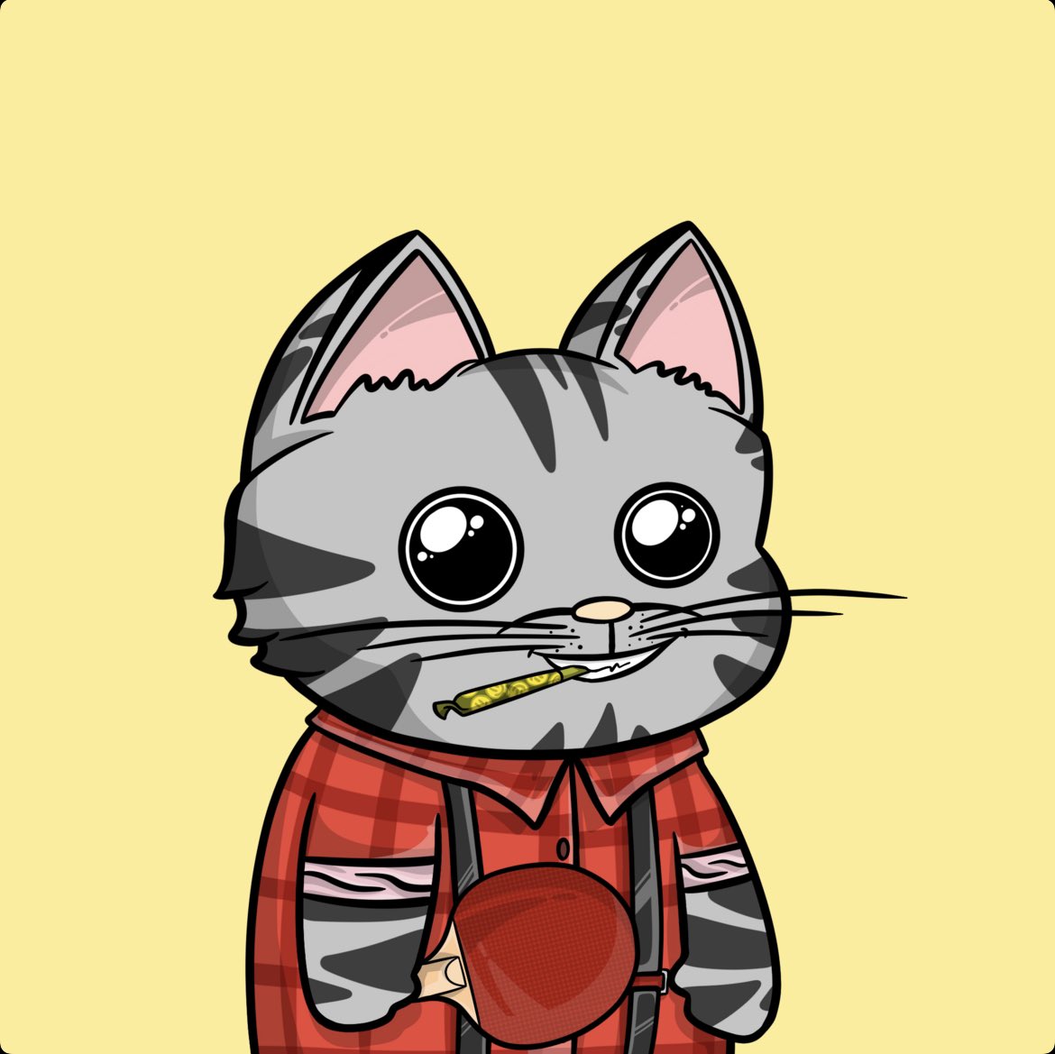 ma77eorla's tweet photo. @SayMeowClub https://t.co/9h8ISRyImj