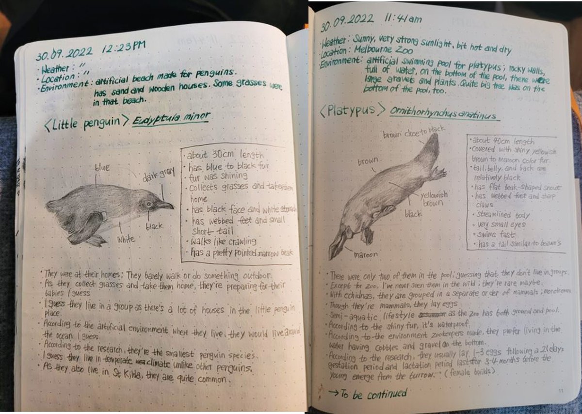 BiologyLab's tweet image. Beautiful detail in these journal entries by Bo Young Shin based on observations at @MelbourneZoo. @SciMelb @UniMelbscicomm @BioSci_UniMelb