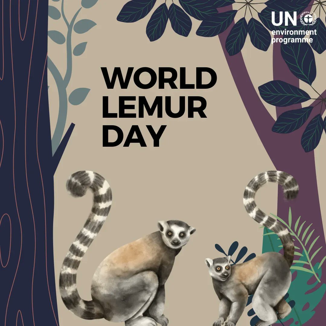 UN Environment Programme tweet media