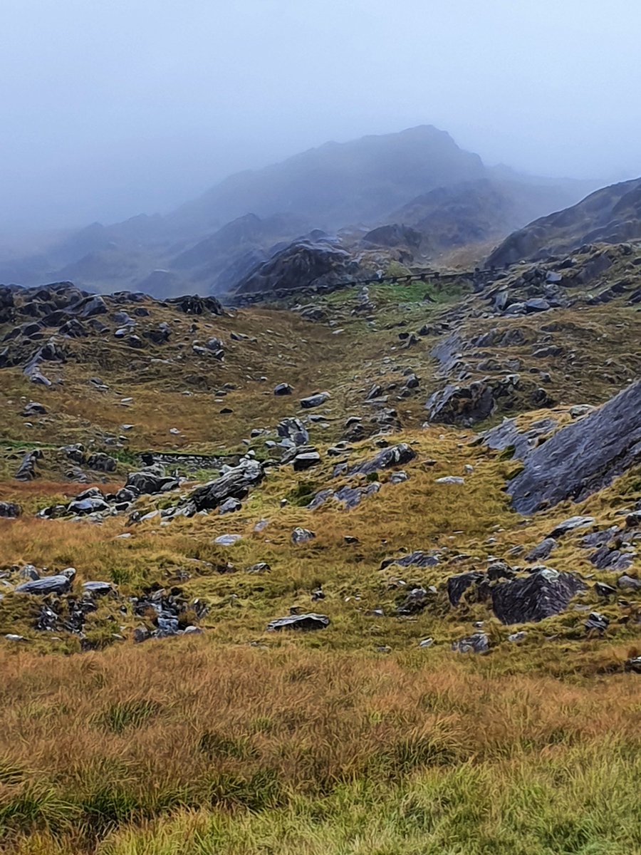 Even though almost entirely emptied of diverse life, eerie upland wastes like this are hauntingly beautiful, in their own way.

But imagine what this would once have been like, and could be again, swathed in rich temperate rainforest.

Just remove the sheep, and it could return.