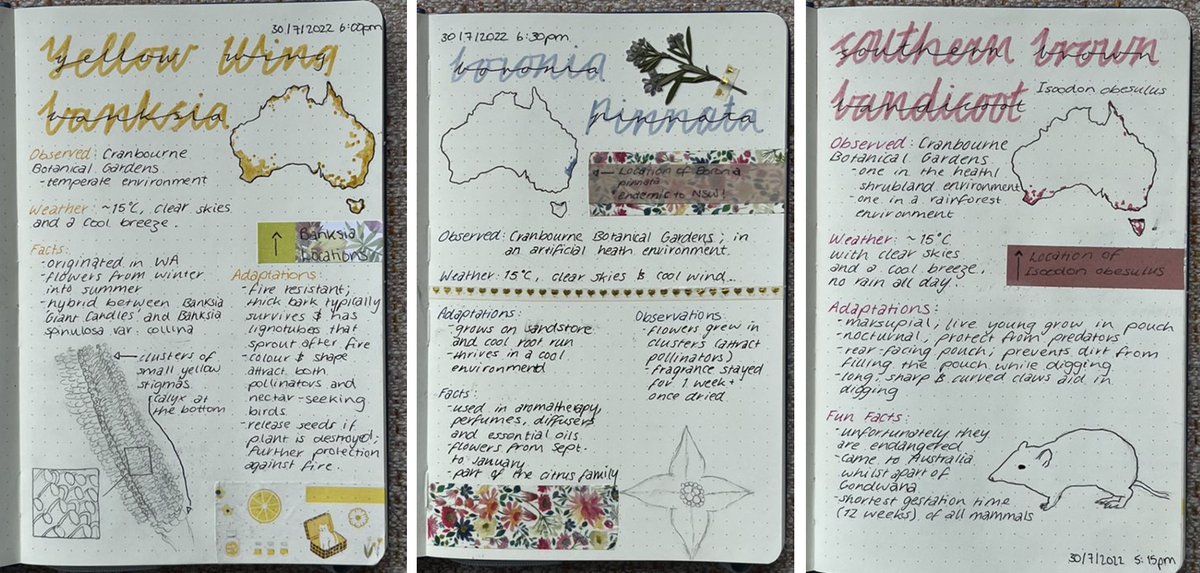 BiologyLab's tweet image. One more #naturejournalling series to share today by Kiana Lambert - informative AND super stylish 🤗 @BioSci_UniMelb @SciMelb