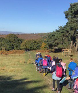 Greenhill Curriculum Lead tweet media