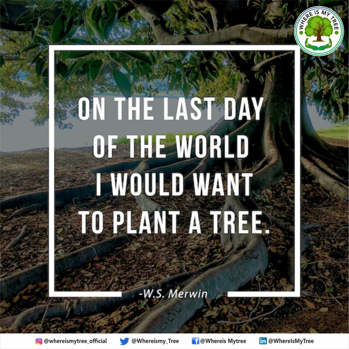 Whereismy_Tree's tweet photo. Lets plant more trees and make the environment pollution free.
They help us breathe, save Trees.
Join the campaign @7011832567
#wmt #whereismytree #trees #savetrees #joincampaign #environment #pollution #freshair #breatheair #savetrees #planttrees #plantation #plantatree https://t.co/pUs4fF0cw6