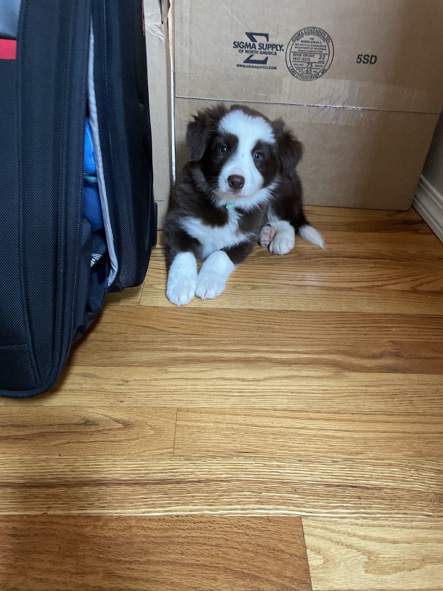 Scott Hadden tweet media