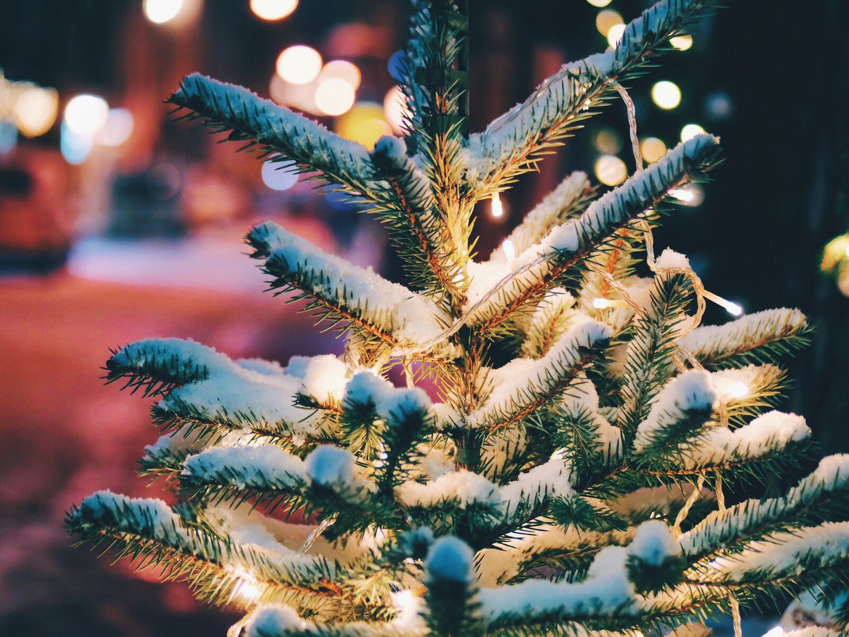 ApparataNL's tweet photo. Hoe feestelijk is de kerstverlichting voor onze portemonnee? https://t.co/FEswfe5qdv https://t.co/ysF8ECEnTf