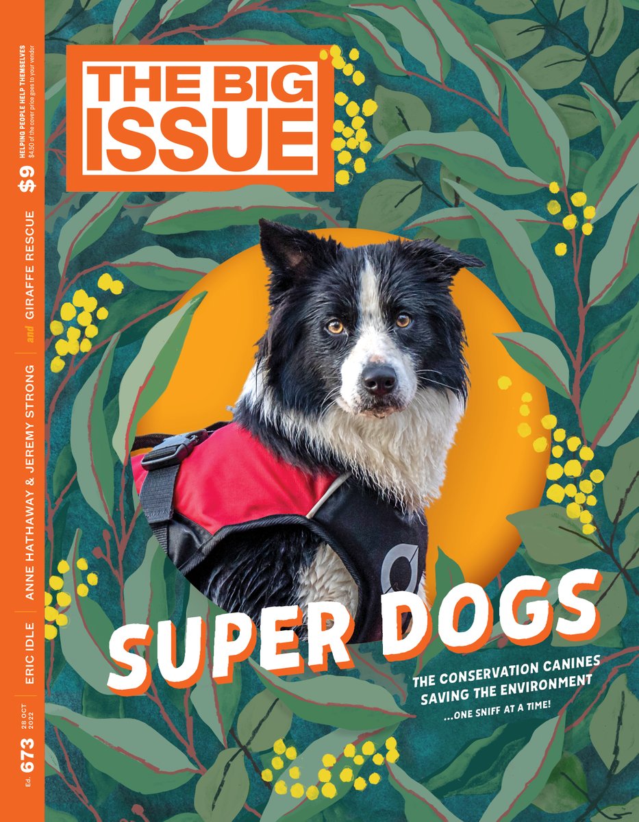 New edition! Photojournalist Doug Gimesy hits the road with Rex, Oakley, Leo, Jimmy, Sonny and cover star Raasay. They’re the conservation detector dogs of @SkylosEcology, saving the country’s wildlife one sniff at a time. 🧵👇