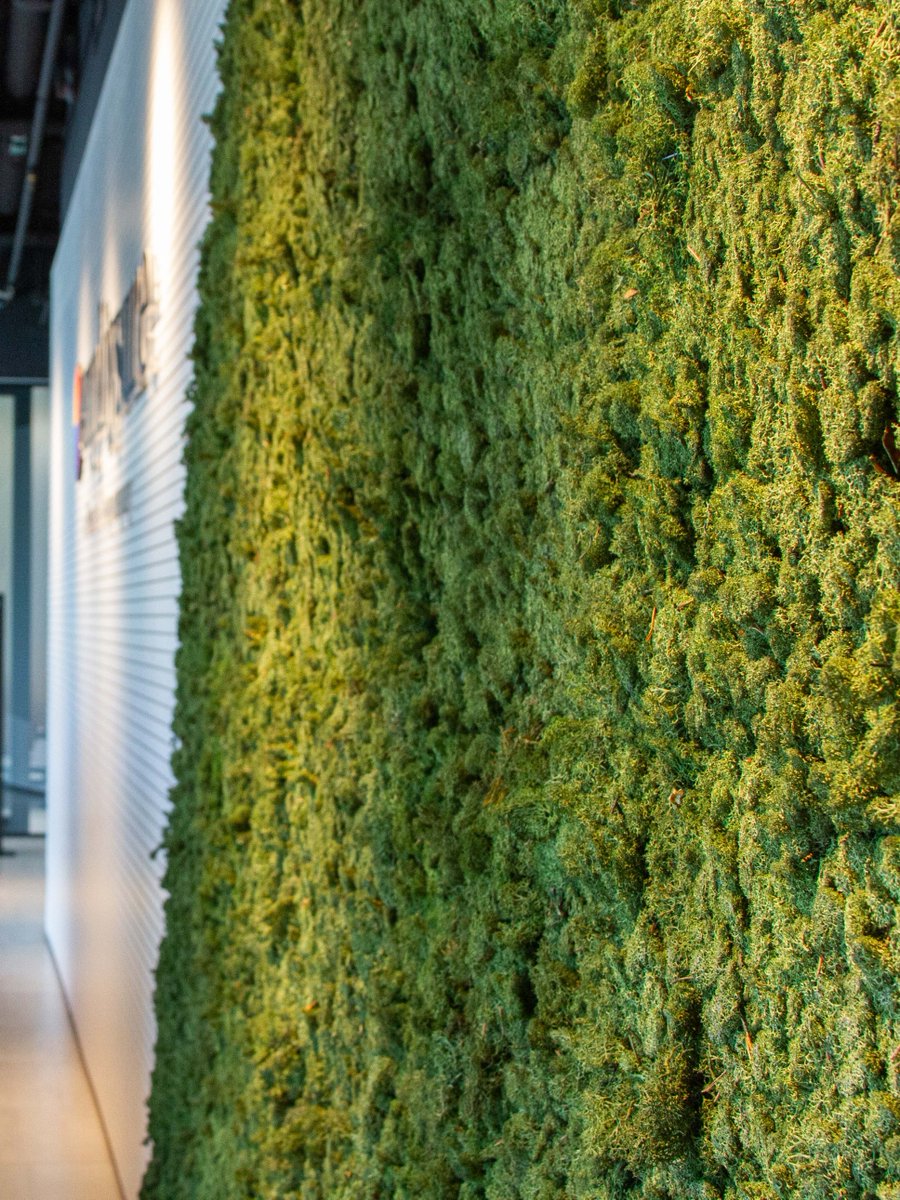Peninsula_AU's tweet photo. Not only do we have a commitment to building better businesses, but we also strive to #bebetter every day. As part of this #commitment, we are passionate about providing the best environments for our staff, enabling them to be #clientfocused so they can provide #superservice https://t.co/Tmsnr9t33C
