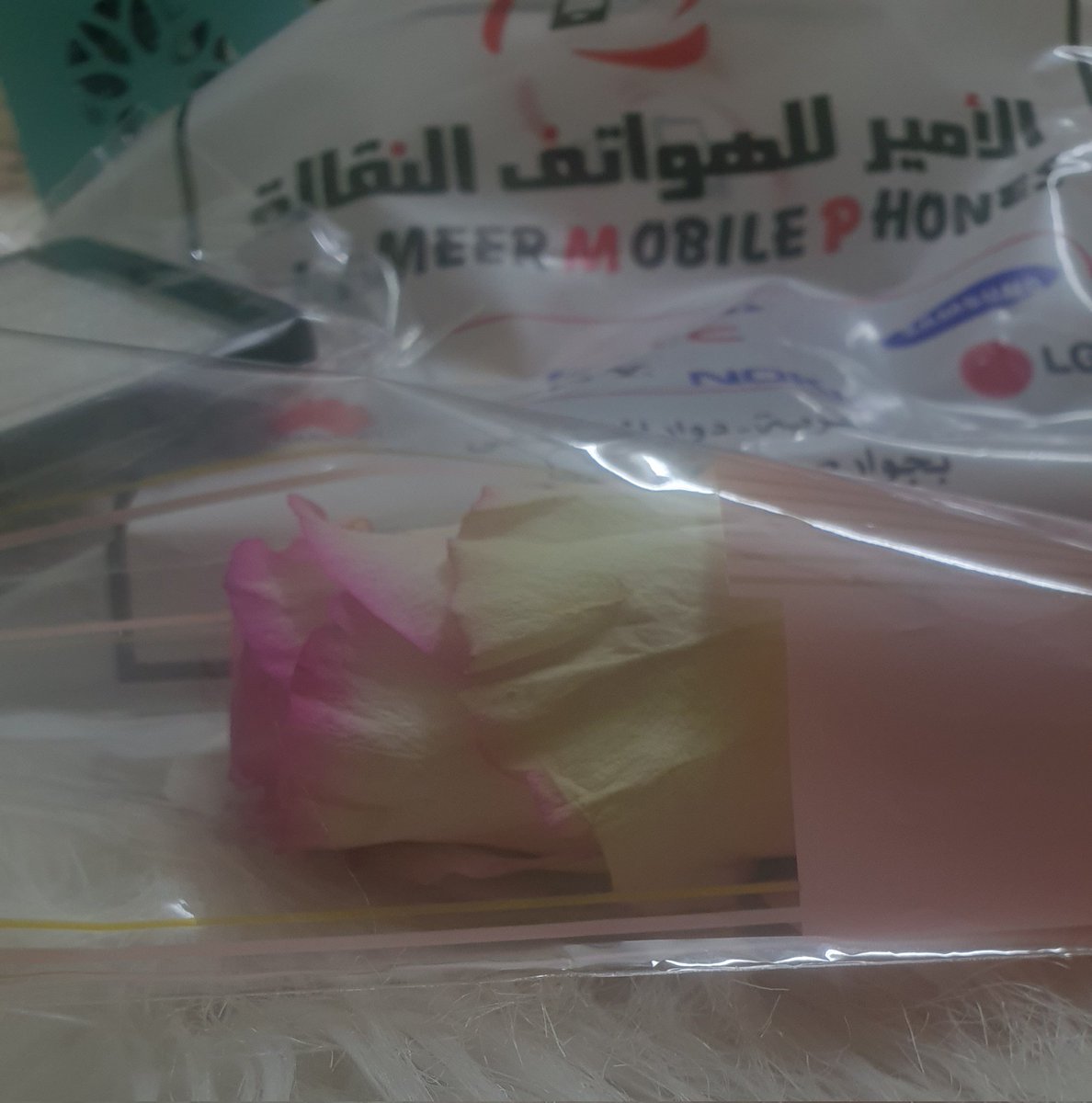 💚 سيدتي 
شكرا وأنا ممتنة ...🤍
شكرا وليهجرني كل شي إلا أنتِ 🤍
شكرا وأسعدك الله عمرا ودهرا وابدا 🤍
شكرا وأنتِ قلبا لا يتكرر ولا يحصى لطيبته حبرا ولا مِدادا 🤍
شكرا وشكرا وشكرا وجزاك الله خير كثيرا وجعلك أكثر خلقه حظا وسعدا ...
<a href="/Memh751/">🇴🇲|мαяɪαм</a>