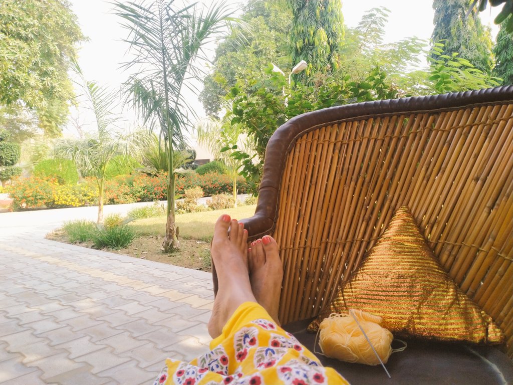 manushi___'s tweet photo. Nature is not a place to visit...it is home
🍃

#InbetweenWork https://t.co/3HPj6Wuxwz