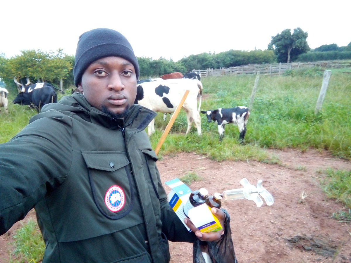 barnabaskawees's tweet photo. Reached the farm this morning and found one of the babies had signs of illness. So I had to take action 💉💉💉 https://t.co/amxKJdhDQL
