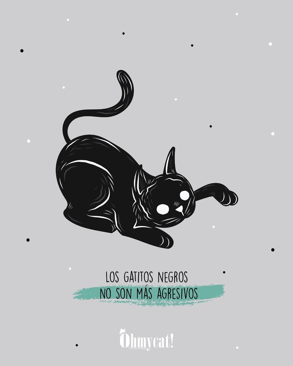 El 27 de octubre también celebramos a los gatitos negros 🖤🐈\u200d⬛ Si tienes  un ejemplar de este color, compártenos una foto, queremos conocerlo!, image size:960x1200
