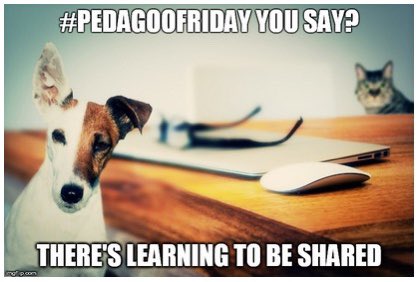 pedagoo's tweet photo. 📣 Educators! It’s #PedagooFriday
🌍Wherever in the world you do your teaching & learning, share your highlight from this week
❓Why
🆗Because #LearningMatters #SharingMatters #CommunityMatters
What’s your #PedagooFriday moment? https://t.co/rjiwy1iRuV