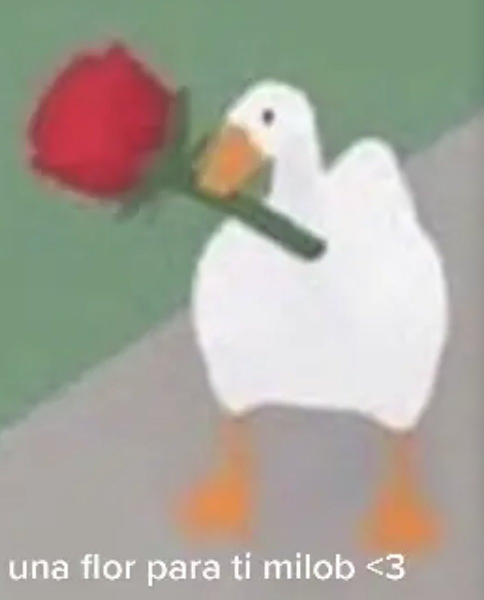 Squidge_y tweet media