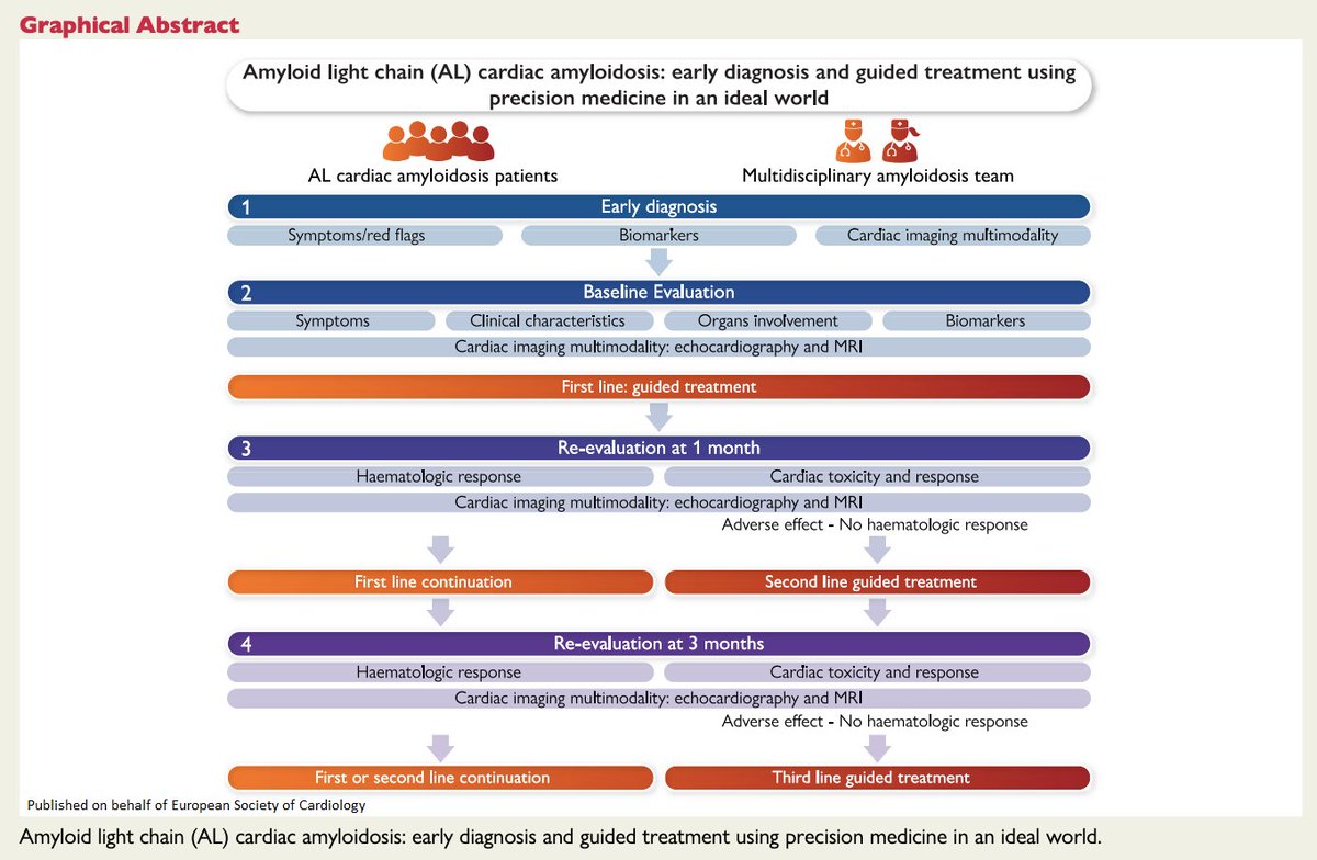 The challenge of managing patients with light-chain cardiac amyloidosis: the value of cardiac magnetic resonance as a guide to the treatment response academic.oup.com/eurheartj/adva… @escardio #EHJ #ESCYoung #cardiotwitter @ehj_ed @rladeiraslopes