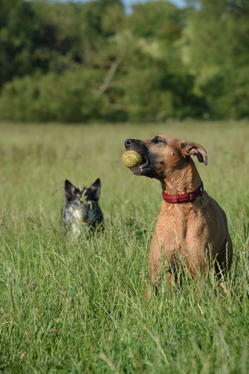 Julie Penny 🇺🇦 tweet media