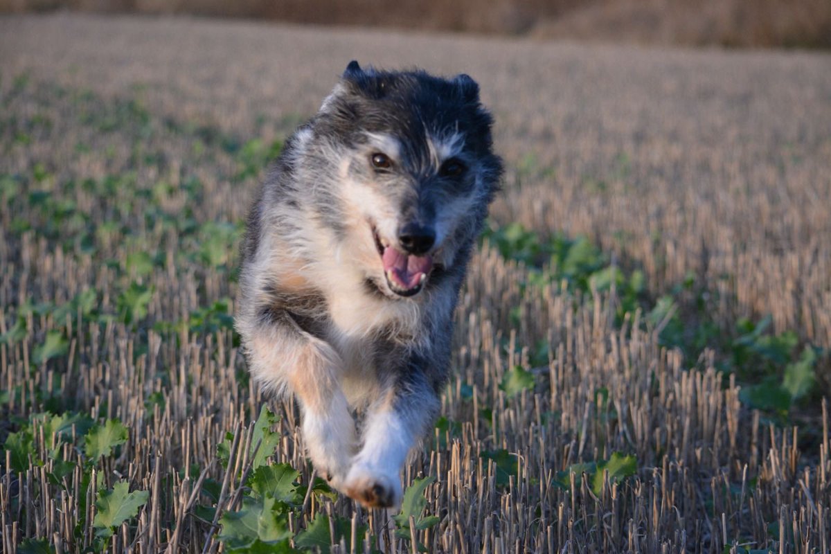 Julie Penny 🇺🇦 tweet media