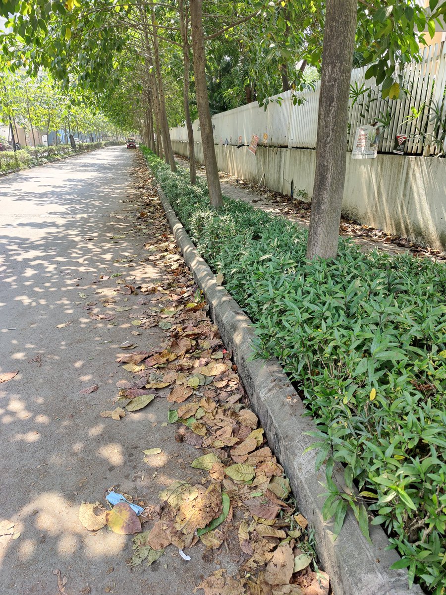 kevaldand's tweet photo. @TMCaTweetAway  When you are planning to clean this. since many Days no one has Cleaned this.
Location : Near Lodha Luxuria, Casa Viva and Priva Road.
@SachinShingareG @QueenofThane https://t.co/tVmx28n4XL