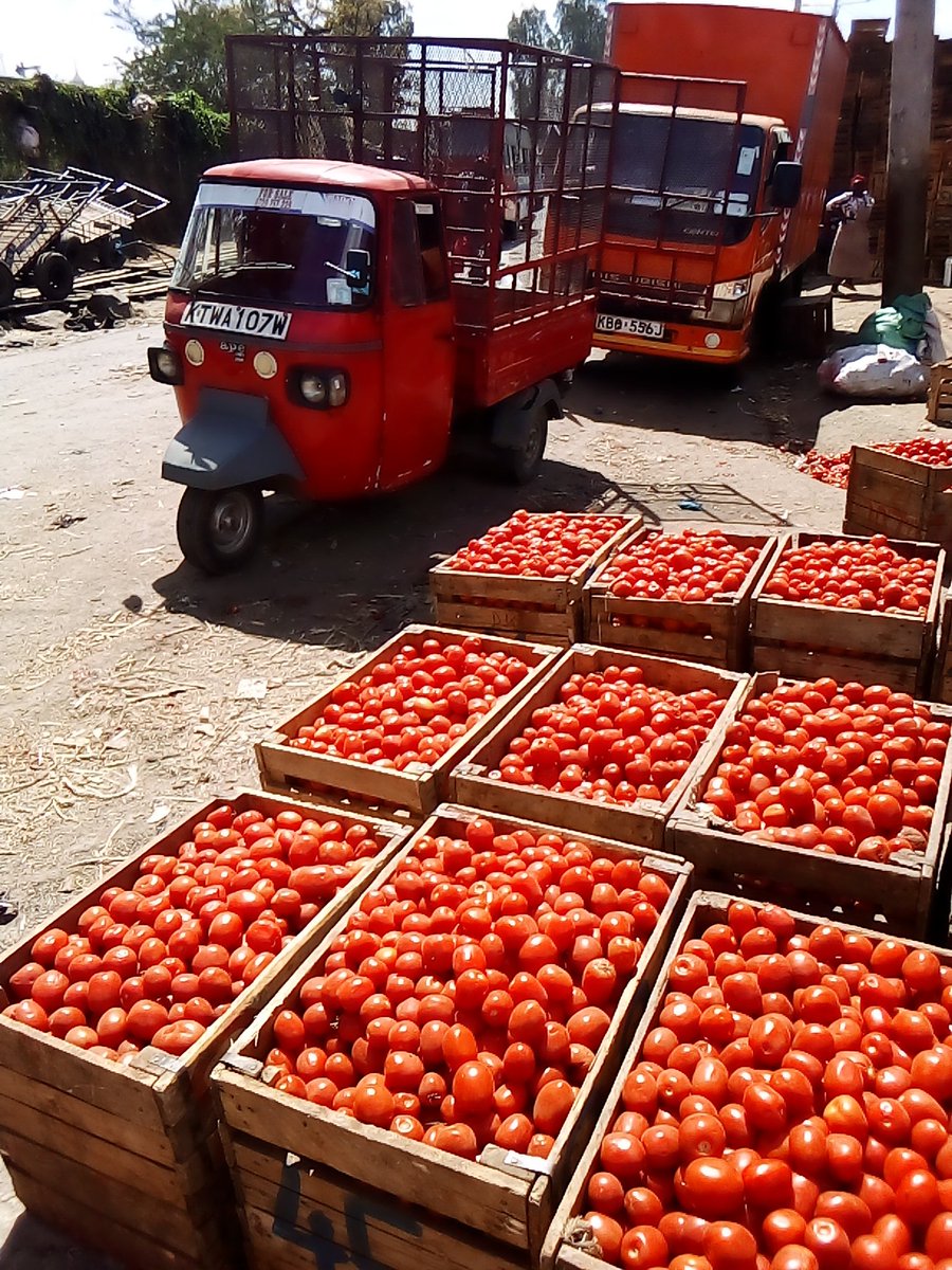 Mekatili_KE's tweet photo. Fresh ya Shamba.. we fighting Climate Change through Agribiz. @ThikaTowntoday
#MosesKuria #MtLongonot https://t.co/TiyXt9fT1q