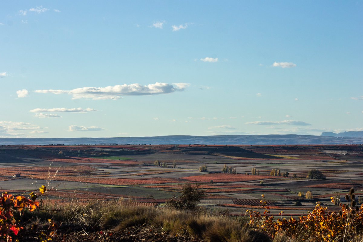 Vale más una imagen que mil palabras📸

- "Olores de otoño, colores de fuego..."-

#labrandounfuturojuntos #BodegaSanCebrin #RiojaAlta